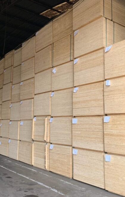 brazil-project2-1024×768